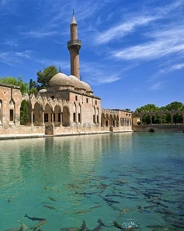 şanlı urfa istanbul uçak bileti