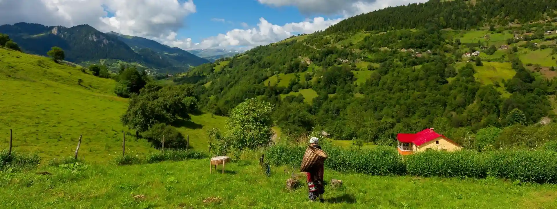 ordu uçak bileti